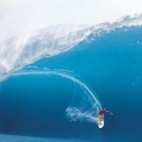 Pipeline ("Banzai Pipeline")