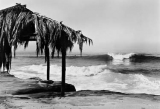 Windansea 