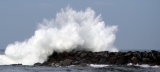 Big Jetty / Dog Beach (Ocean Beach)
