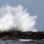 Big Jetty / Dog Beach (Ocean Beach)