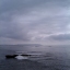 NORTH BIRD ROCK