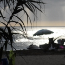 /images/cover/group/5/thumb_8ad7e635111491fdd71a0197bc103e5f.jpg