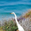 https://www.isurfedthere.com/images/groupphotos/30/302/thumb_de9970d5ccbfee401b0e43eb.jpg