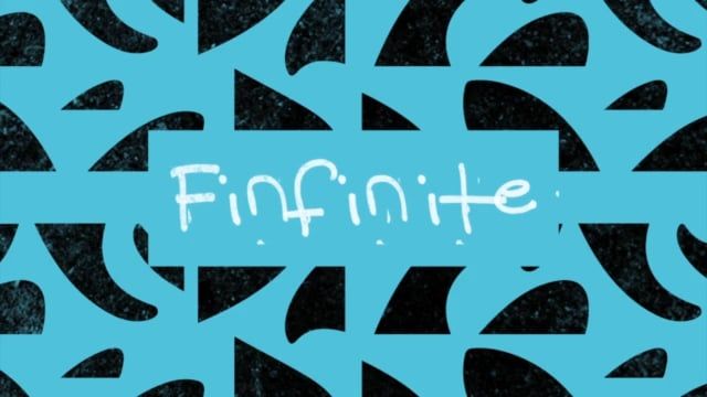 FinFinite